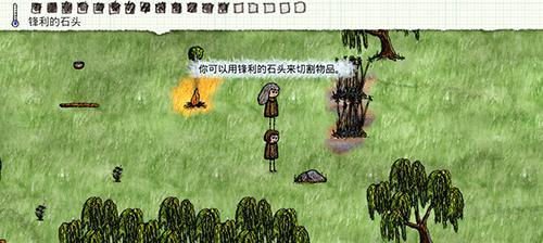 一小时人生种植攻略（轻松上手）