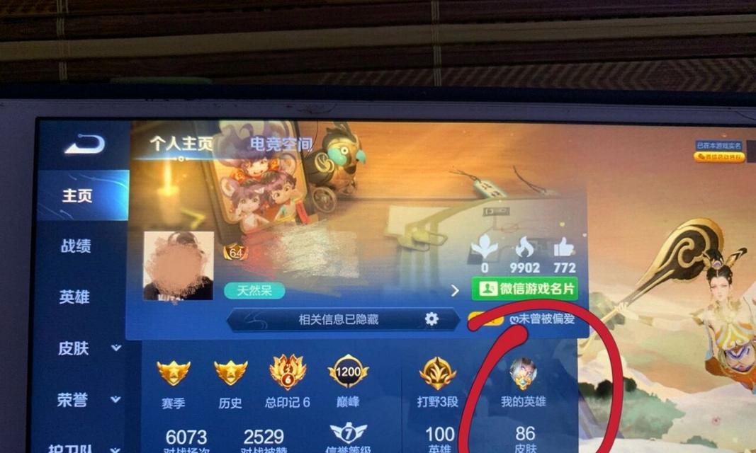 王者荣耀如何设置主页隐私？有哪些步骤？